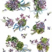 QSIPR056  Фиолетовые фиалки  