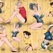 001  Pin up