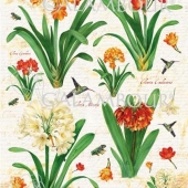 304  Кливия