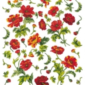 034  Маки
