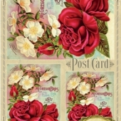 131  Розы