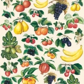 164  Фрукты