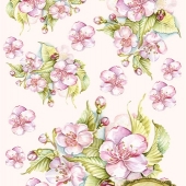 122  Цветы вишни