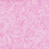 СYSIL11