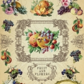 101  Фрукты