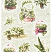 358  Конвалия