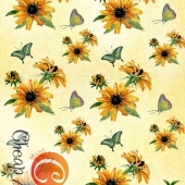 01492  Позитив
