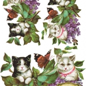 011  Кошки в сирени